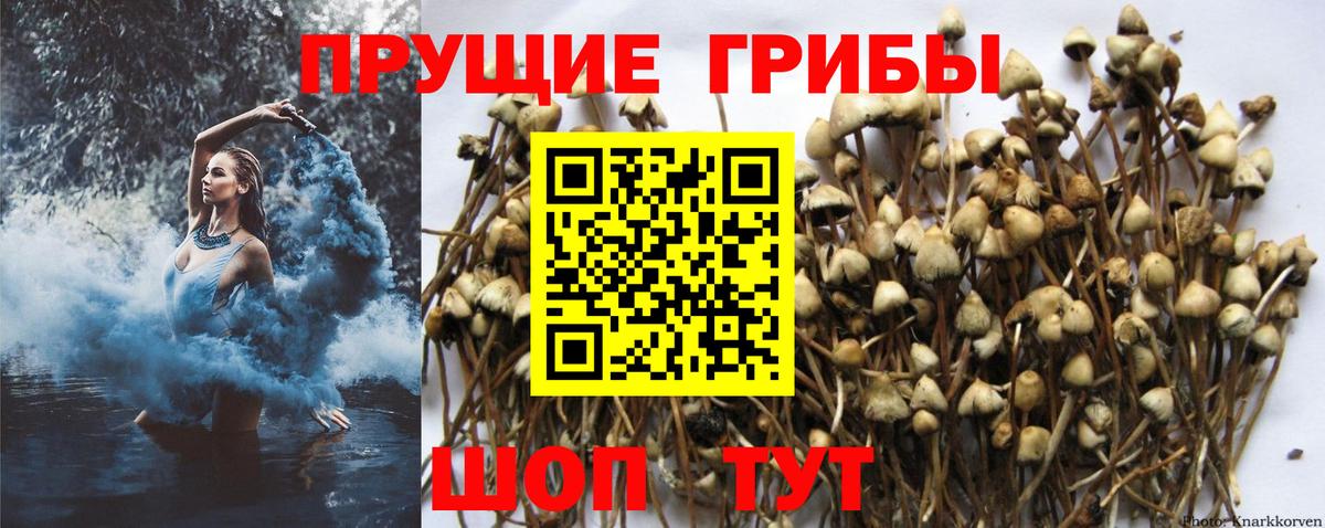 Псилоцибиновые грибы MAGIC MUSHROOMS Нягань