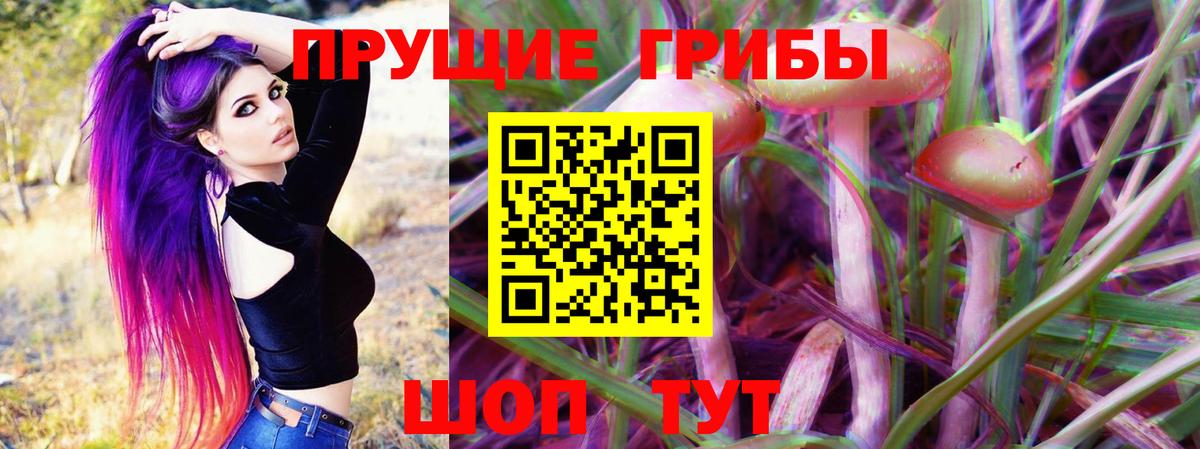 Нягань  Псилоцибиновые грибы прущие грибы  Вход с VPN 